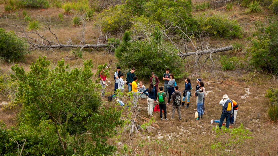 Voluntários reunidos antes do começo do mutirão de controle de pínus invasores no Parque Natural Municipal das Dunas da Lagoa da Conceição (Florianópolis, SC). Foto: Rafael Barbizan Sühs.